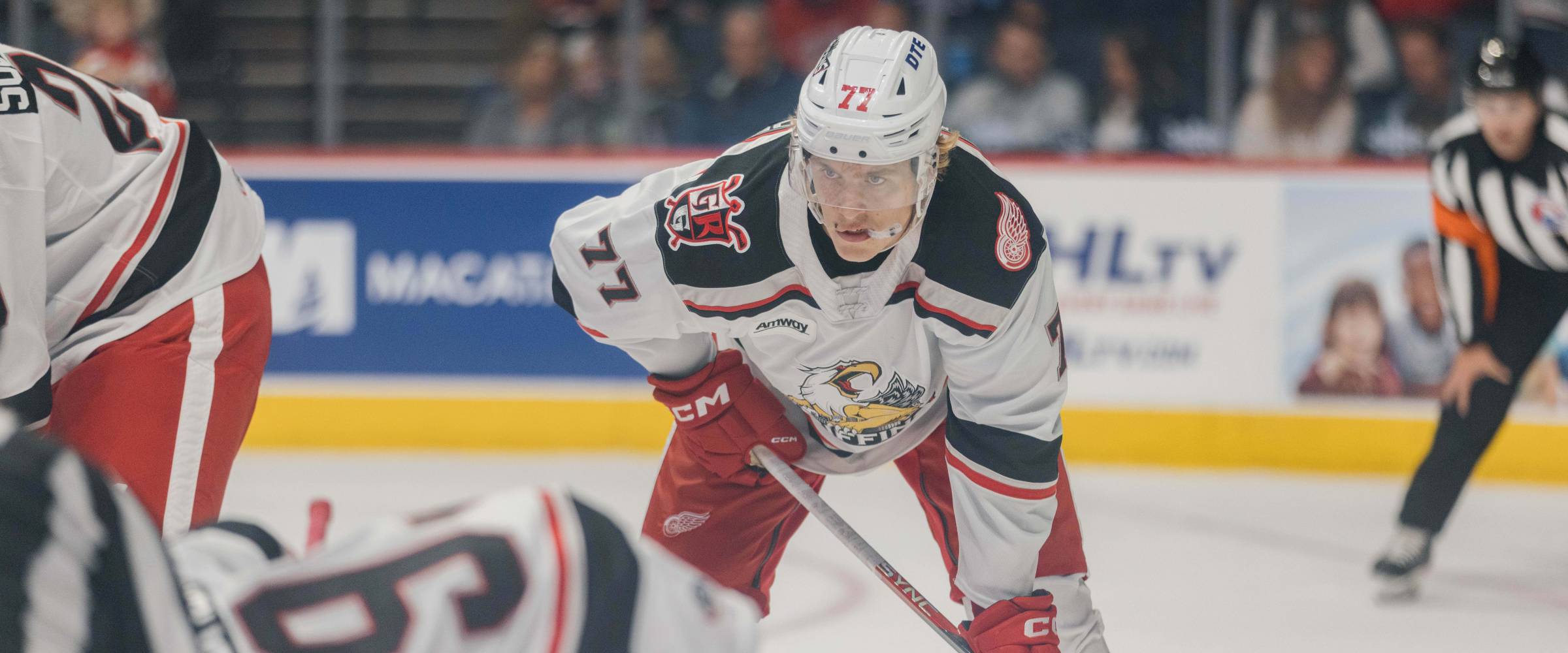 Grand Rapids Griffins Detroit Reassigns Simon Edvinsson To Griffins