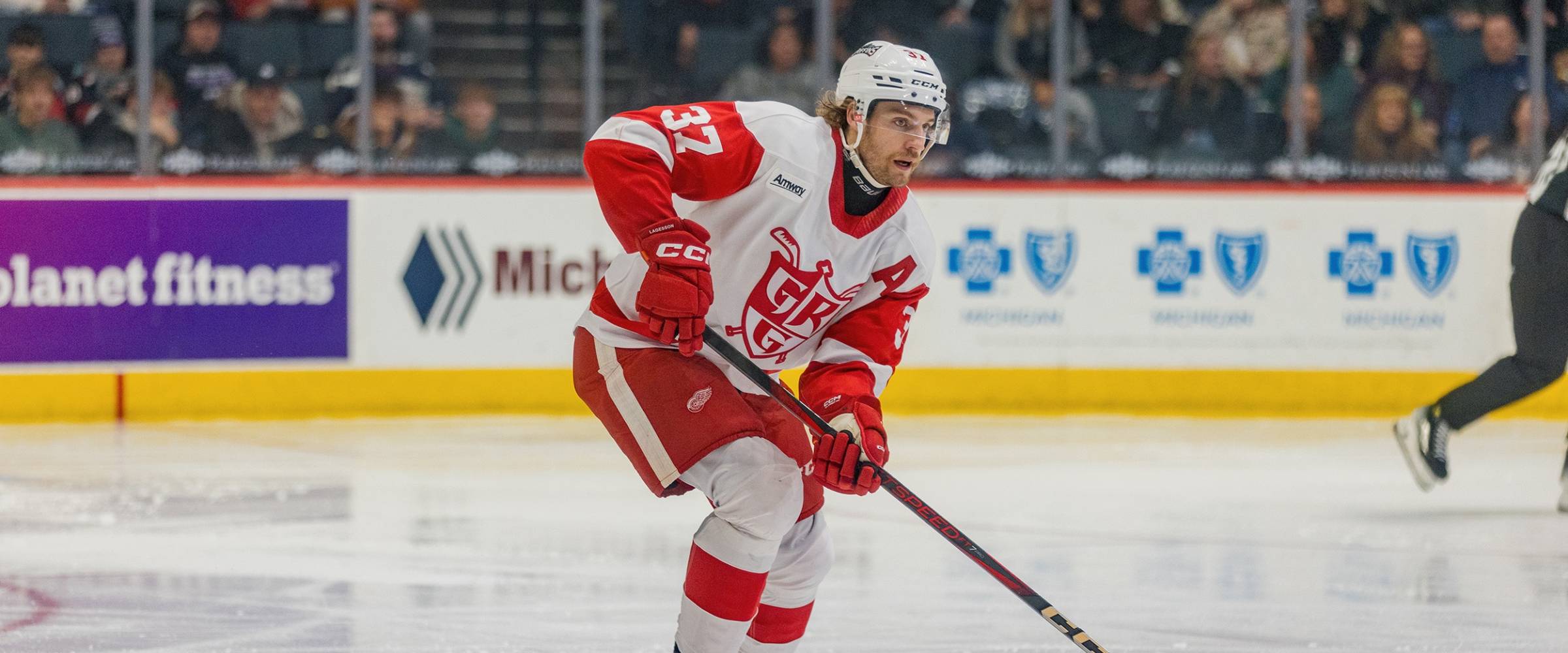 Grand Rapids Griffins William Lagesson Recalled By Red Wings