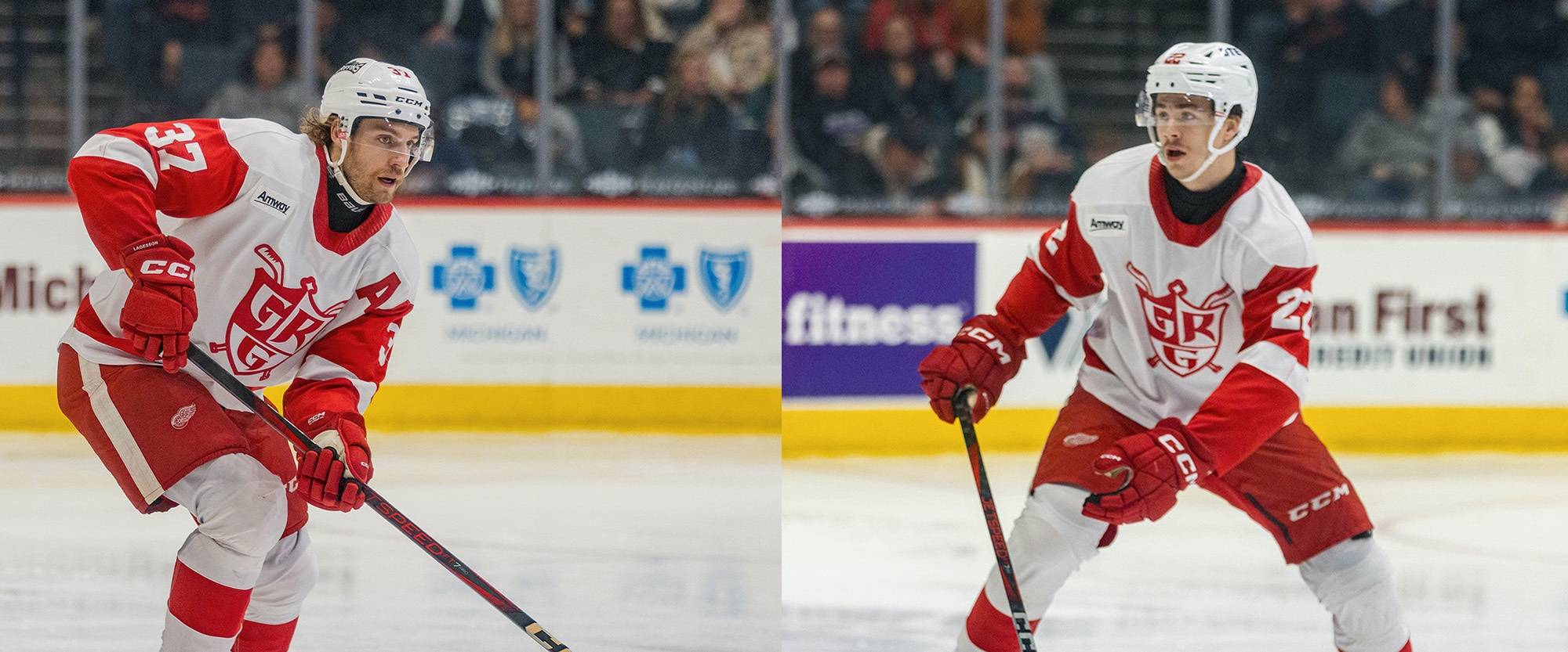 Grand Rapids Griffins Lagesson Wallinder Reassigned To Griffins