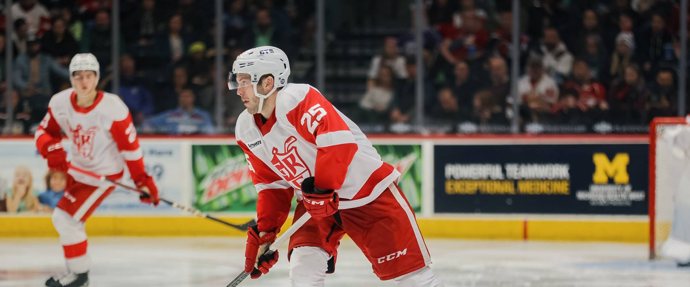 Grand Rapids Griffins | Brogan Rafferty Recalled by Red Wings