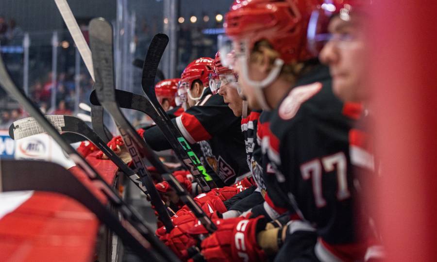 Grand Rapids Griffins Homepage grand-rapids-griffins-homepage