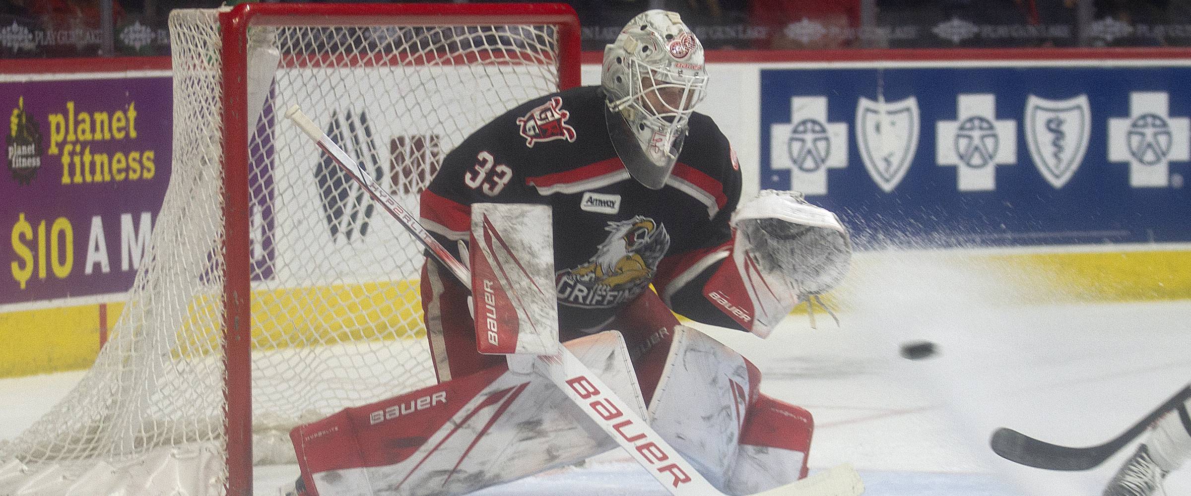 Grand Rapids Griffins Fire & Ice