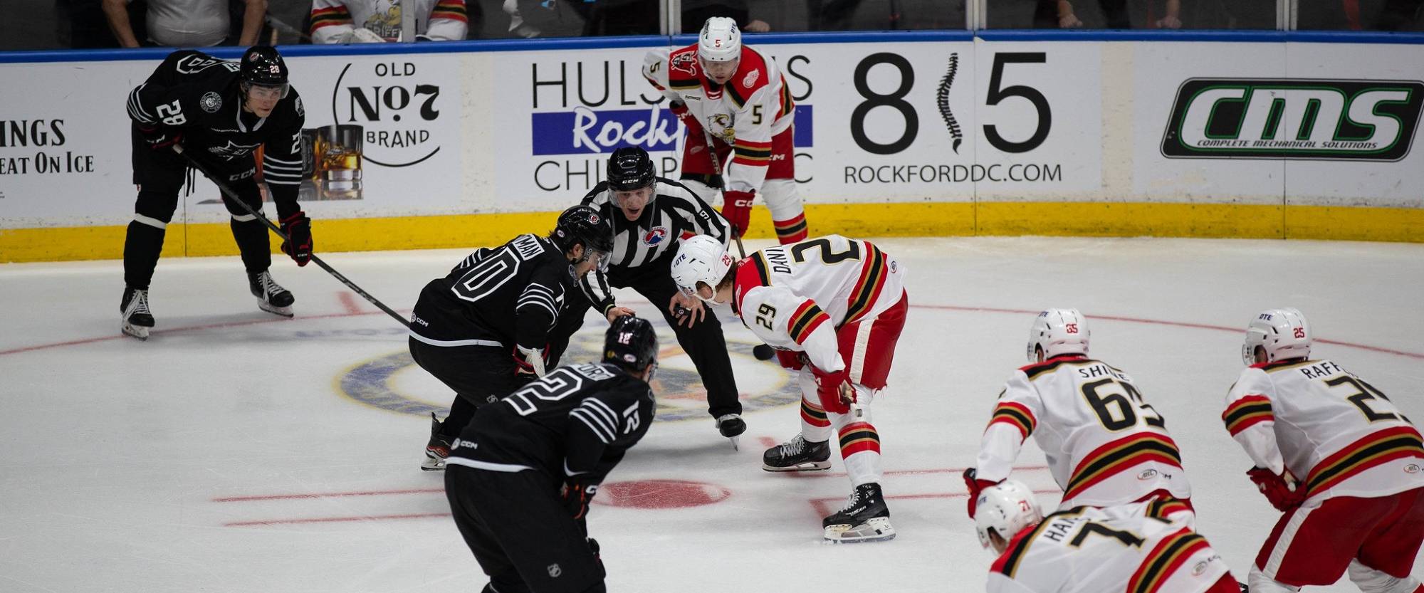 Grand Rapids Griffins Hog Tied